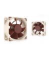 Noctua NF-A6x25 60mm PWM 5V - nr 15