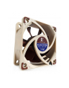 Noctua NF-A6x25 60mm PWM 5V - nr 6