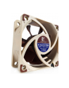 Noctua NF-A6x25 60mm PWM 5V - nr 8