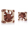 Noctua 80X80X25 (NF-A8 FLX) - nr 13