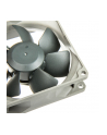 Noctua NF-R8 - nr 7