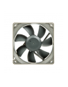 Noctua NF-R8 - nr 8