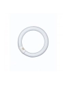 Osram Kołowa Lumilux® L 40W/ 840 C G10q T9 (4050300014845) - nr 2