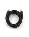 KABEL USB 2.0 A-B M/M 4.5M FERRYT - nr 2