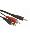 KABEL MINIJACK-2XRCA (CHINCH) M/M 2.5M - nr 10