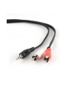 KABEL MINIJACK-2XRCA (CHINCH) M/M 2.5M - nr 13