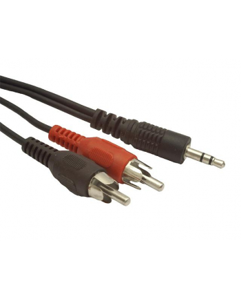 KABEL MINIJACK-2XRCA (CHINCH) M/M 5M