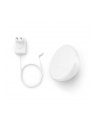 Philips Hue  White and Color Ambiance Go biały 7602031P7 - nr 48