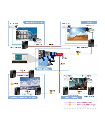 Assmann Switch IGS-20040MT (IGS20040MT)