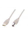 Assmann Electronic AK-300105-018-E - nr 2