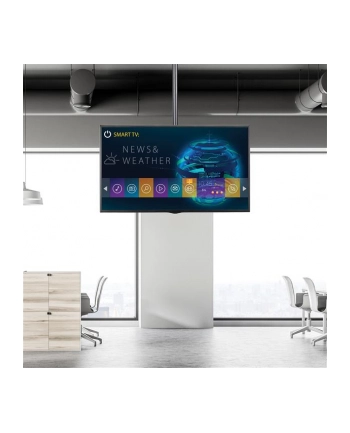 Startech FPCEILPTBLP