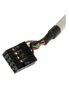 Startech Czytnik Przedni panel 3.5'' + USB (35FCREADBK3) - nr 13