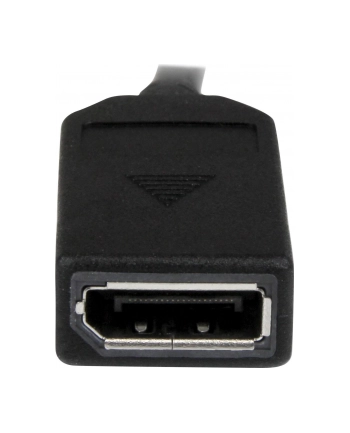 Startech Adapter AV DMS-59 (DMSDPDP1) nr 2