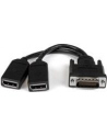 Startech Adapter AV DMS-59 (DMSDPDP1) - nr 16
