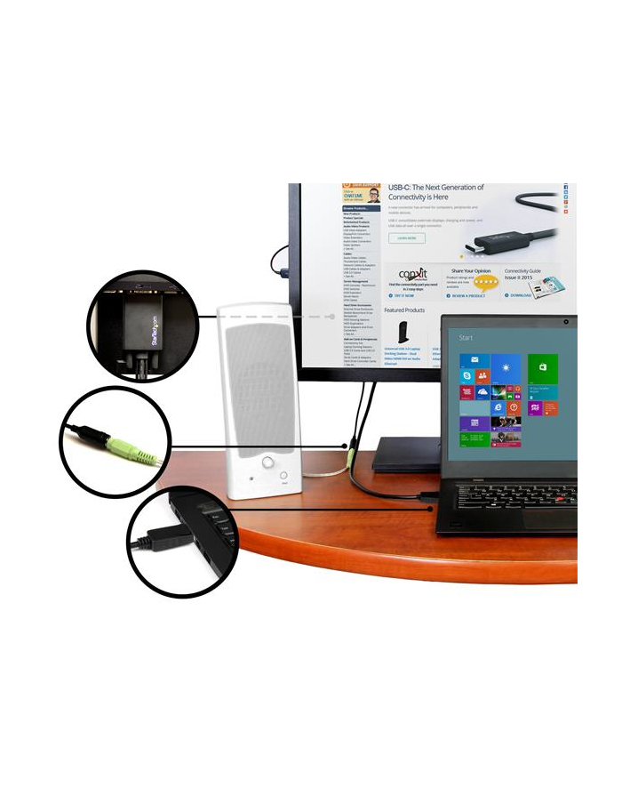 Startech DP2VGAAMM3M główny