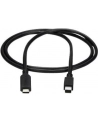 Startech Kabel Startech USB-C DisplayPort Mini, 1m, Czarny (CDP2MDPMM1MB) - nr 19