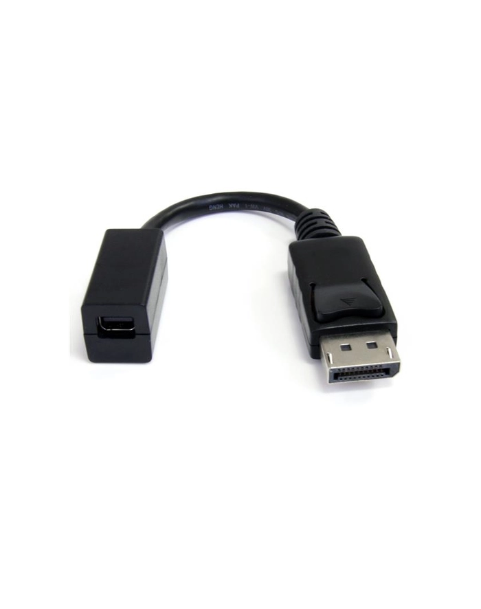 Startech.com DP/Mini DP Adapter (DP2MDPMF6IN) główny
