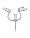 Startech USB z adapterami 1m (LTCUB1MGR) - nr 10