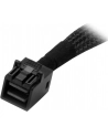 Startech SFF-8643/4x SATA 1m (SAS43SAT1M) - nr 13