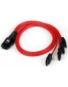 Startech miniSAS > 4x SATA 50cm (SAS8087S4R50) - nr 8