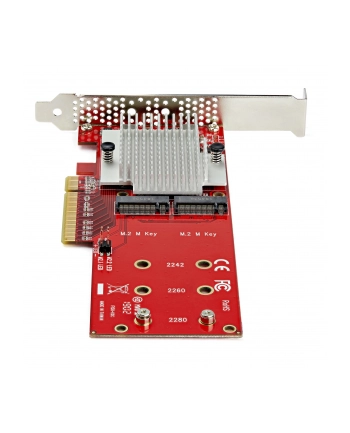 Startech.com PEX8M2E2 (65030886390)