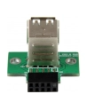 Startech.com 2 Port USB Motherboard Header Adapter (USBMBADAPT2) - nr 17