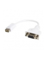 Startech.com Adaptador de Cable Mini DVI a VGA para Macbooks y iMacs (MDVIVGAMF) - nr 2