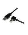 Startech Kabel USB A na Prawe USB B(kątowe) (USBAB2MR) - nr 14
