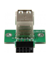 Startech.com 2 Port USB Motherboard Header Adapter (USBMBADAPT2) - nr 25