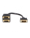 Startech.com Splitter cable (DVISPL1DD) - nr 1