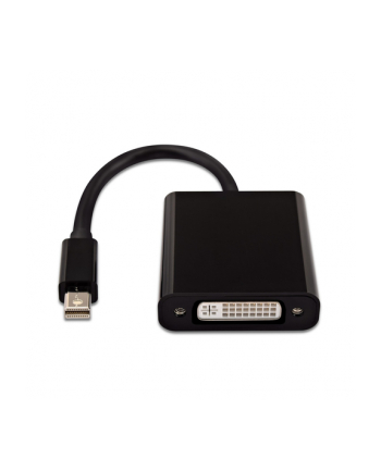 V7 Kabel V7 DVI DisplayPort Mini, Czarny (CBL-MD1BLK-5E)