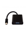 V7 Kabel V7 DisplayPort Mini D-Sub (VGA), Czarny (CBL-MV1BLK-5E) - nr 1