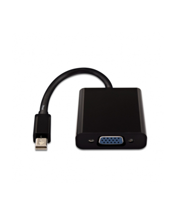 V7 Kabel V7 DisplayPort Mini D-Sub (VGA), Czarny (CBL-MV1BLK-5E)