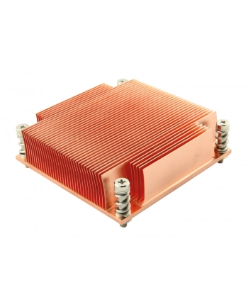 Inter-Tech Wentylator R-1   1HE Passiv G34 SQUARE nr 1