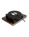 Wentylator Inter Tech  B-3  aktiv  LG 3647 80x80mm NARROW - nr 9