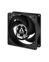 Arctic P8 PWM PST (ACFAN00150A) - nr 24