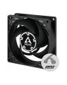 Arctic P8 PWM PST (ACFAN00150A) - nr 37