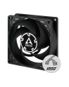 Arctic P8 PWM PST (ACFAN00150A) - nr 18