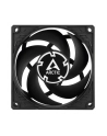 Arctic P8 PWM PST (ACFAN00150A) - nr 33