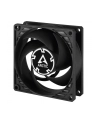 Arctic P8 PWM PST (ACFAN00150A) - nr 39