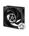 Arctic P8 PWM PST (ACFAN00150A) - nr 50