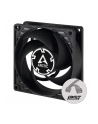 Arctic P8 PWM PST (ACFAN00150A) - nr 8