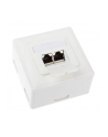 InLine Gniazdo natynkowe sieciowe 2x RJ45 Cat.6 iałe poziome (75602J) - nr 1