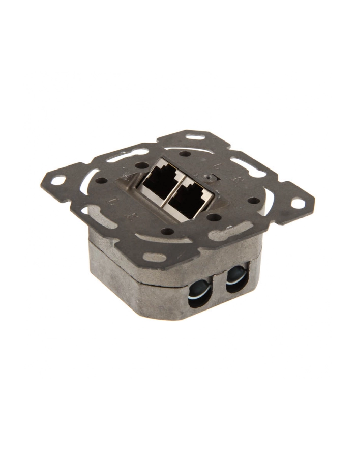 InLine Gniazdo natynkowe sieciowe 2x RJ45 Cat.6 iałe poziome (75602J) główny