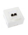 InLine Gniazdo natynkowe sieciowe 2x RJ45 Cat.6 iałe poziome (75602J) - nr 3