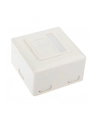InLine Gniazdo natynkowe sieciowe 2x RJ45 Cat.6 iałe poziome (75602J) - nr 9