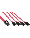 InLine Mini-SAS na 4 x SATA 0.75m Czerwony (27610) - nr 16