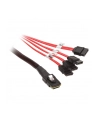 InLine Mini-SAS na 4 x SATA 0.75m Czerwony (27610) - nr 1