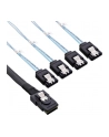 InLine Mini-SAS na 4 x SATA 0.75m Czerwony (27610) - nr 5