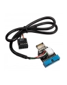 InLine Adapter USB InLine Adapter USB 3.1 na USB 3.0 InLine - wewnętrzny (33446A) - nr 1